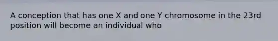 A conception that has one X and one Y chromosome in the 23rd position will become an individual who