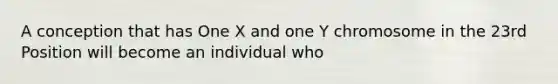 A conception that has One X and one Y chromosome in the 23rd Position will become an individual who