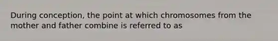 During conception, the point at which chromosomes from the mother and father combine is referred to as