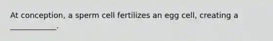 At conception, a sperm cell fertilizes an egg cell, creating a ____________.