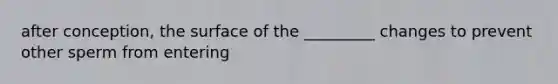 after conception, the surface of the _________ changes to prevent other sperm from entering