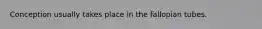 Conception usually takes place in the fallopian tubes.