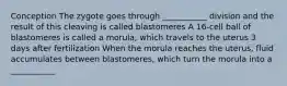 Conception The zygote goes through ___________ division and the result of this cleaving is called blastomeres A 16-cell ball of blastomeres is called a morula; which travels to the uterus 3 days after fertilization When the morula reaches the uterus, fluid accumulates between blastomeres, which turn the morula into a ___________