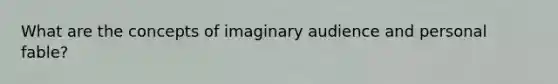 What are the concepts of imaginary audience and personal fable?