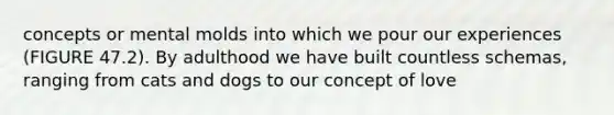 concepts or mental molds into which we pour our experiences (FIGURE 47.2). By adulthood we have built countless schemas, ranging from cats and dogs to our concept of love