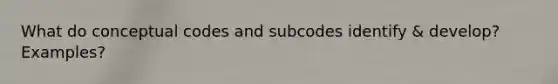 What do conceptual codes and subcodes identify & develop? Examples?