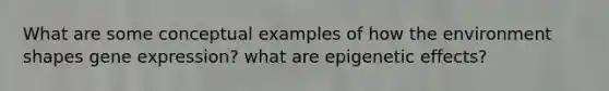 What are some conceptual examples of how the environment shapes gene expression? what are epigenetic effects?