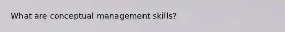 What are conceptual management skills?