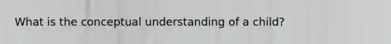 What is the conceptual understanding of a child?