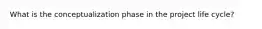 What is the conceptualization phase in the project life cycle?