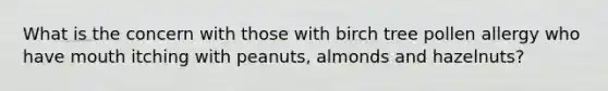 What is the concern with those with birch tree pollen allergy who have mouth itching with peanuts, almonds and hazelnuts?