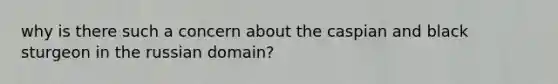 why is there such a concern about the caspian and black sturgeon in the russian domain?