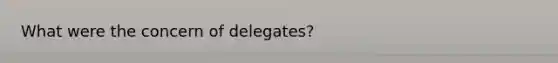 What were the concern of delegates?