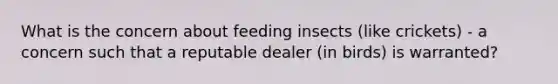 What is the concern about feeding insects (like crickets) - a concern such that a reputable dealer (in birds) is warranted?