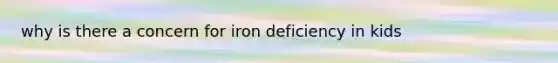 why is there a concern for iron deficiency in kids