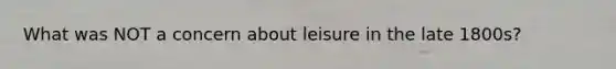What was NOT a concern about leisure in the late 1800s?