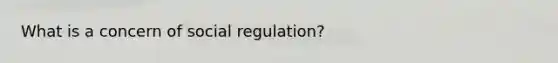 What is a concern of social regulation?