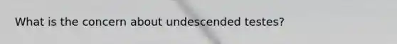 What is the concern about undescended testes?