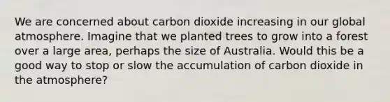 We are concerned about carbon dioxide increasing in our global atmosphere. Imagine that we planted trees to grow into a forest over a large area, perhaps the size of Australia. Would this be a good way to stop or slow the accumulation of carbon dioxide in the atmosphere?