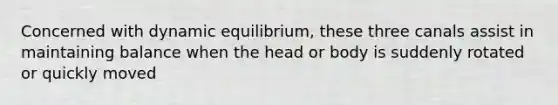 Concerned with dynamic equilibrium, these three canals assist in maintaining balance when the head or body is suddenly rotated or quickly moved