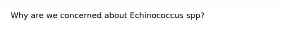 Why are we concerned about Echinococcus spp?