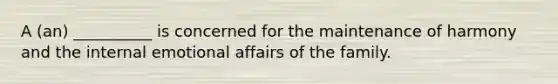 A (an) __________ is concerned for the maintenance of harmony and the internal emotional affairs of the family.
