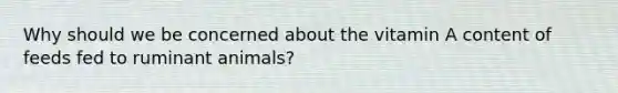 Why should we be concerned about the vitamin A content of feeds fed to ruminant animals?