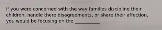 If you were concerned with the way families discipline their children, handle there disagreements, or share their affection, you would be focusing on the ___________