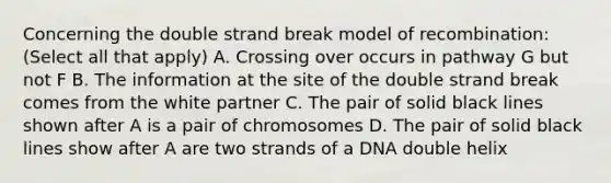 Concerning the double strand break model of recombination: (Select all that apply) A. Crossing over occurs in pathway G but not F B. The information at the site of the double strand break comes from the white partner C. The pair of solid black lines shown after A is a pair of chromosomes D. The pair of solid black lines show after A are two strands of a DNA double helix