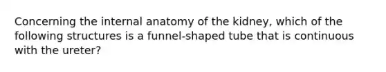 Concerning the internal anatomy of the kidney, which of the following structures is a funnel-shaped tube that is continuous with the ureter?