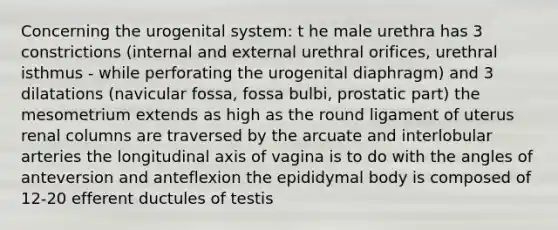 Concerning the urogenital system: t he male urethra has 3 constrictions (internal and external urethral orifices, urethral isthmus - while perforating the urogenital diaphragm) and 3 dilatations (navicular fossa, fossa bulbi, prostatic part) the mesometrium extends as high as the round ligament of uterus renal columns are traversed by the arcuate and interlobular arteries the longitudinal axis of vagina is to do with the angles of anteversion and anteflexion the epididymal body is composed of 12-20 efferent ductules of testis