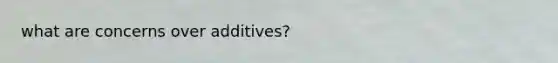 what are concerns over additives?