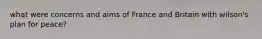 what were concerns and aims of France and Britain with wilson's plan for peace?