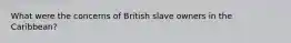 What were the concerns of British slave owners in the Caribbean?