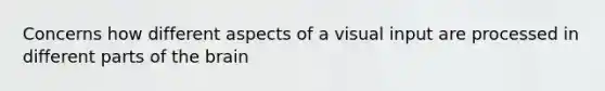 Concerns how different aspects of a visual input are processed in different parts of the brain