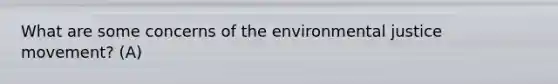 What are some concerns of the environmental justice movement? (A)