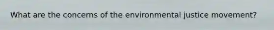 What are the concerns of the environmental justice movement?