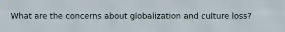 What are the concerns about globalization and culture loss?