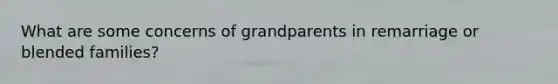 What are some concerns of grandparents in remarriage or blended families?