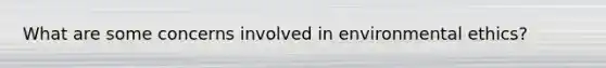 What are some concerns involved in environmental ethics?