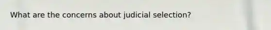 What are the concerns about judicial selection?