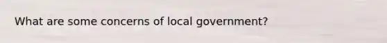 What are some concerns of local government?