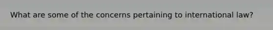 What are some of the concerns pertaining to international law?