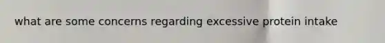what are some concerns regarding excessive protein intake