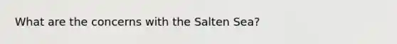 What are the concerns with the Salten Sea?