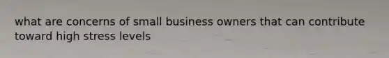 what are concerns of small business owners that can contribute toward high stress levels