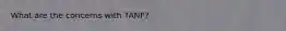 What are the concerns with TANF?