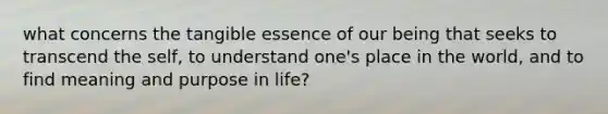 what concerns the tangible essence of our being that seeks to transcend the self, to understand one's place in the world, and to find meaning and purpose in life?