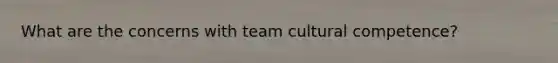 What are the concerns with team cultural competence?