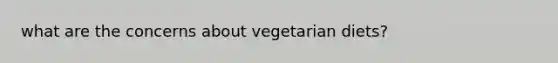 what are the concerns about vegetarian diets?